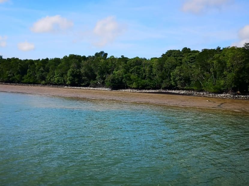 The coastal protection project happening at Pulau Ubin will be similar to the coastal protections along the coastline of Pulau Tekong from 2010.