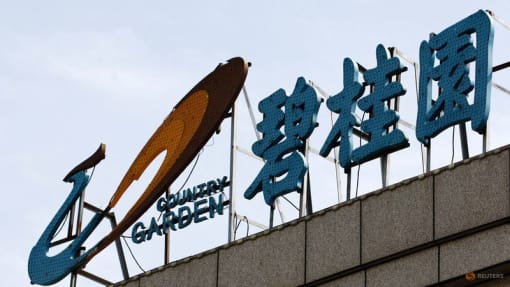China's Country Garden delays publication of 2023 financial results