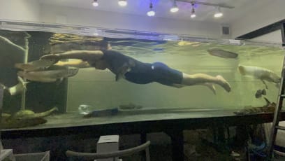 Man In Japan Has 3m-Long Aquarium In His House That He Swims In — Yes, With His Fish