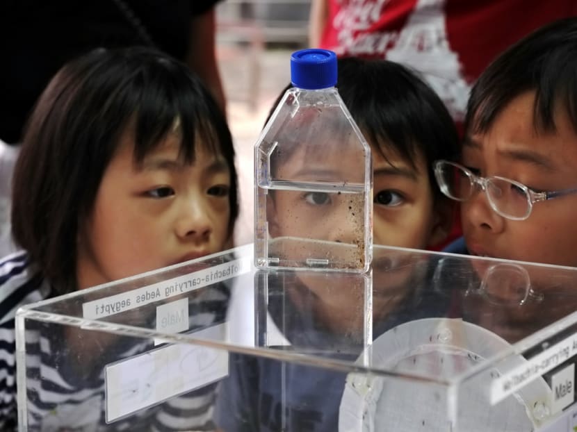 Children looking at larvae and pupae of the Aedes mosquito during the launch of the annual National Dengue Prevention Campaign on March 22, 2020.