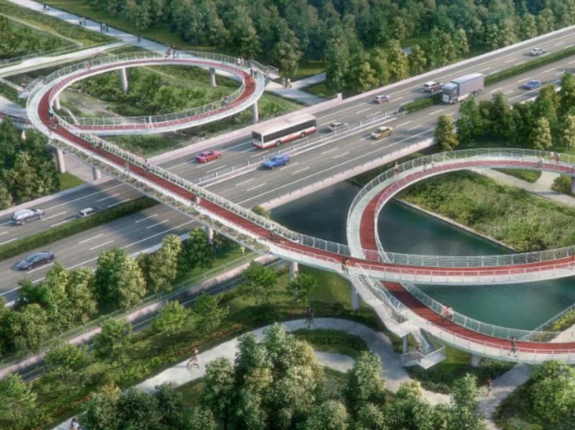 An artist’s impression of the cycling bridge over the Tampines Expressway that will connect Tampines and Pasir Ris. The LTA is studying the feasibility of building the bridge, as well as a cycling underpass to link Tampines to Simei. Photo: LTA