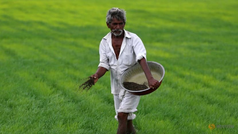 Commentary: Here’s what India’s move to give farmers US$0.23 a day shows Commentary: Here’s what India’s move to give farmers US$0.23 a day shows