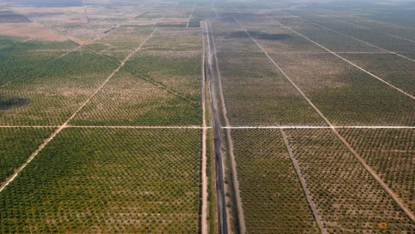 Indonesia's palm oil exports, production seen up next year - GAPKI Indonesia's palm oil exports, production seen up next year - GAPKI