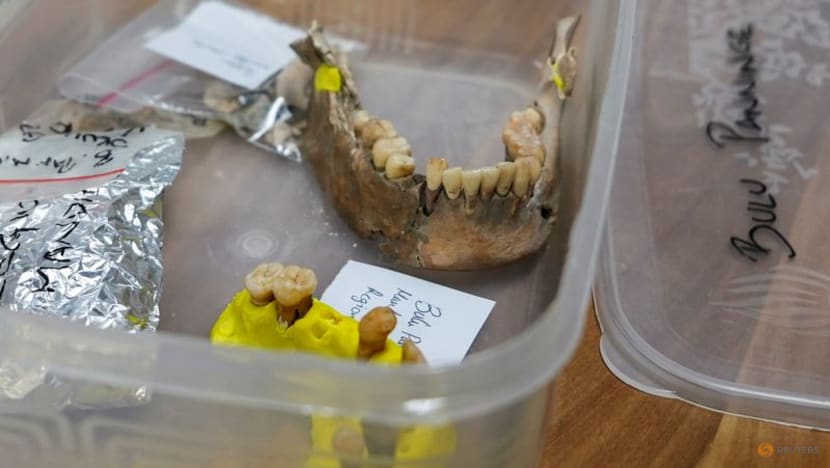 Ancient Indonesian woman reshapes views on spread of early humans Ancient Indonesian woman reshapes views on spread of early humans