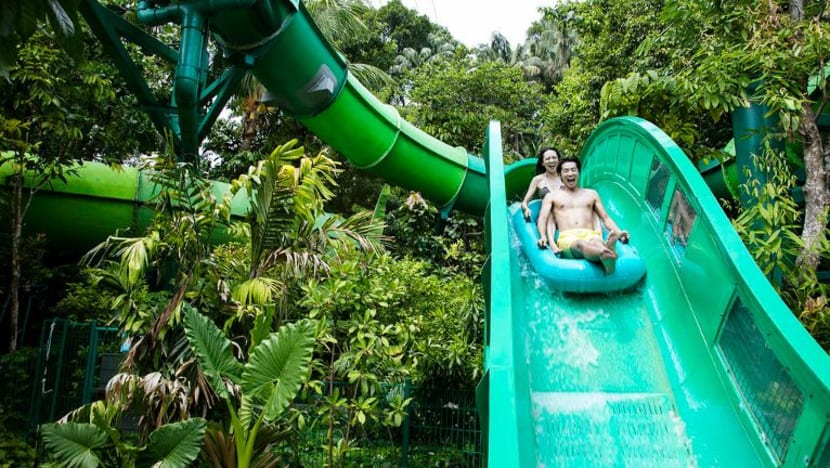 Taman air Adventure Cove RWS dibuka semula 12 Mei Taman air Adventure Cove RWS dibuka semula 12 Mei