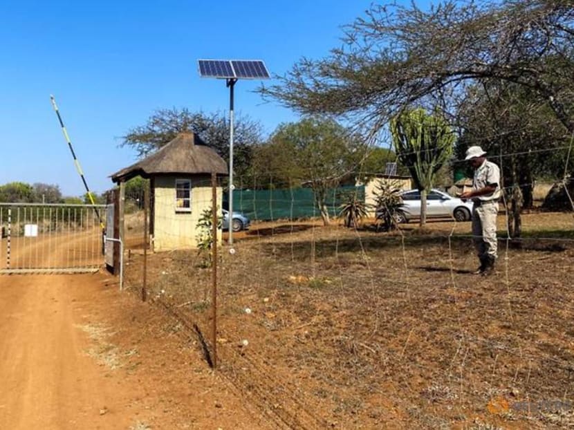 South African game reserve turns to meat sales to survive pandemic South African game reserve turns to meat sales to survive pandemic