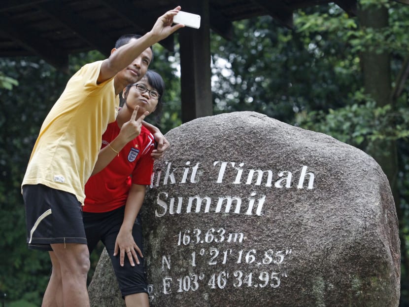 Visitors at Bukit Timah Nature Reserve's summit on June 21 last year, before the Reserve closed. TODAY file photo