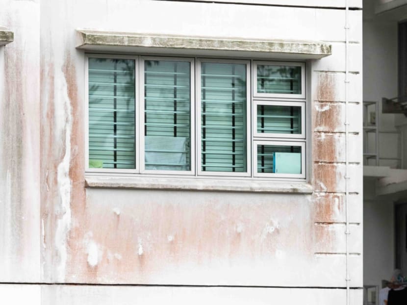 Mould is visible on the exterior of HDB block 234B Sumang Lane in a photograph taken on Jan 11, 2023.