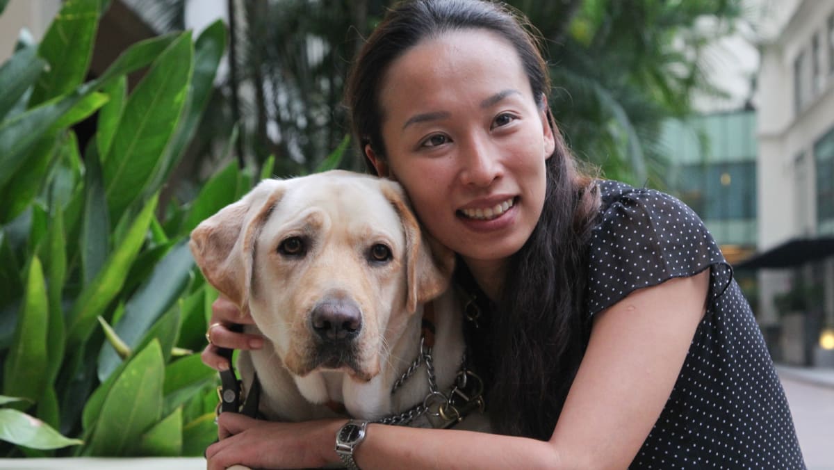 Cassandra chiu guide dog outlet