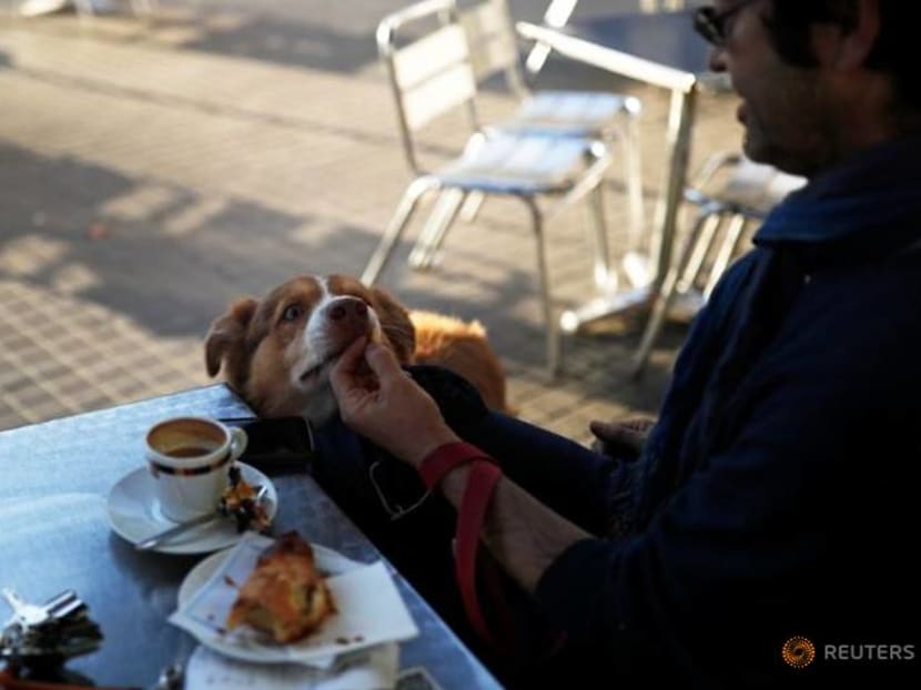 Barcelona bars spring back to life after 5-week coronavirus closure Barcelona bars spring back to life after 5-week coronavirus closure