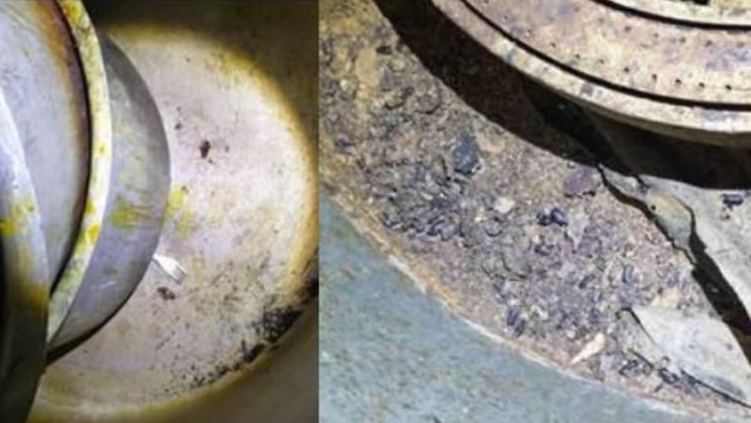 Central kitchen fined after ‘widespread cockroach infestation’ found in premises Central kitchen fined after ‘widespread cockroach infestation’ found in premises