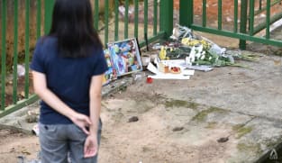 Upper Bukit Timah deaths: Father of 11-year-old boys charged with murder of one son