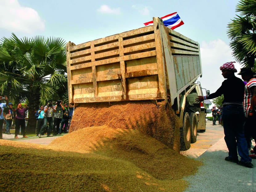 Thai farmers dumping rice during a rally to demand payment under a state-buying scheme, as Prime Minister Yingluck Shinawatra faces negligence charges linked to it. Photo: Bloomberg