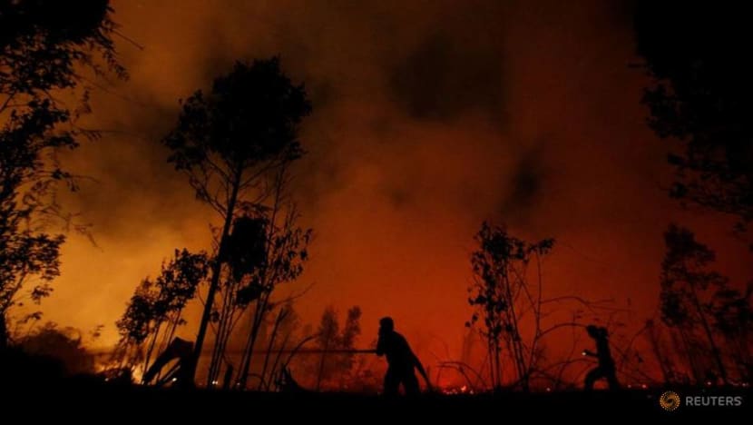 Indonesia on high alert for forest fires until November as dry season is delayed: Environment minister Indonesia on high alert for forest fires until November as dry season is delayed: Environment minister