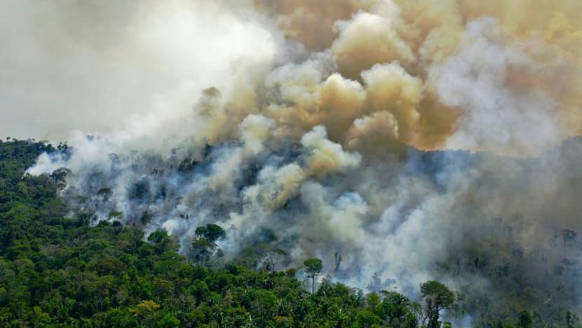 S'pura sertai 130 negara meterai ikrar tamatkan penebangan hutan jelang 2030