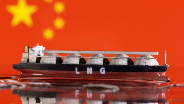 Top LNG importer China re-selling more cargoes, eyes trading gains - Vimarsana News