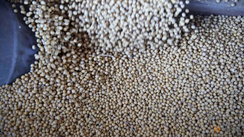 China to exempt US pork, soybeans from additional tariffs: Reports China to exempt US pork, soybeans from additional tariffs: Reports