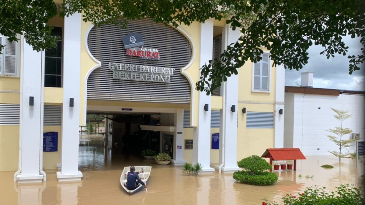 Video TikTok dan fests berenang: Otoritas Johor memperingatkan terhadap perilaku berisiko di tengah situasi banjir