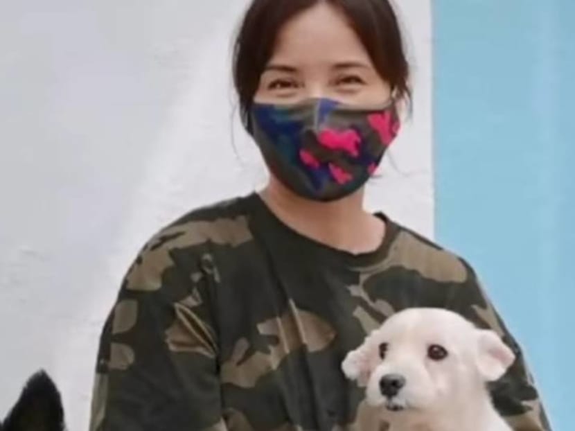 'Her eyes melted my heart': Zoe Tay adopts rescued breeding dog she named Snowball 'Her eyes melted my heart': Zoe Tay adopts rescued breeding dog she named Snowball