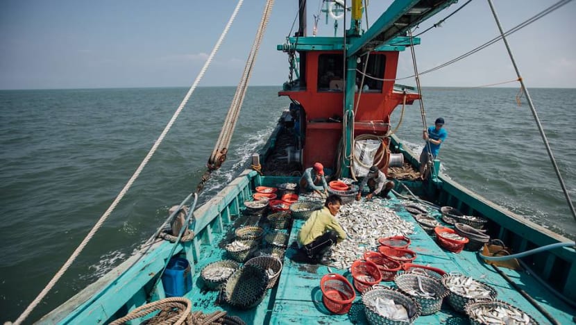 From the sea to the net: How Malaysian fisheries ride the online wave From the sea to the net: How Malaysian fisheries ride the online wave