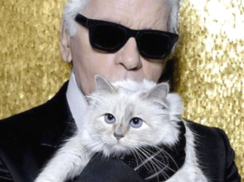 Remembering Karl Lagerfeld's love for his 'kept woman': His cat Choupette