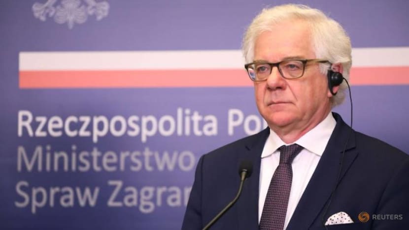 Poland's foreign minister quits amid Belarus crisis Poland's foreign minister quits amid Belarus crisis