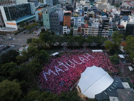 Visitors to Pink Dot at Hong Lim Park on June 18, 2022.