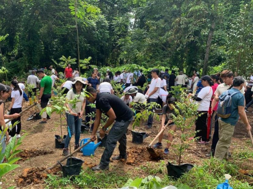 NParks said that some 100 individuals and more than 100 groups have pledged their support to the one million trees movement, which will take place at streetscapes, gardens, parks and park connectors, nature reserves and nature parks. NParks said that some 100 individuals and more than 100 groups have pledged their support to the one million trees movement, which will take place at streetscapes, gardens, parks and park connectors, nature reserves and nature parks.