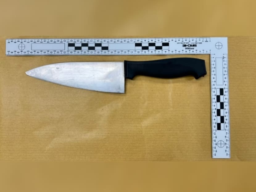 A photo of the knife used in the attack. A photo of the knife used in the attack.