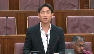 Louis Ng on Transport Sector (Critical Firms) Bill