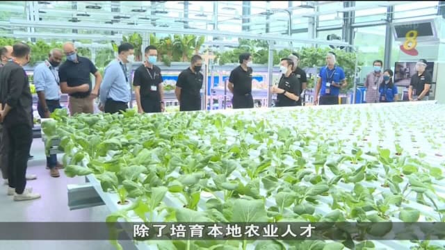 共和理工设大型温室 让师生探索城市农业