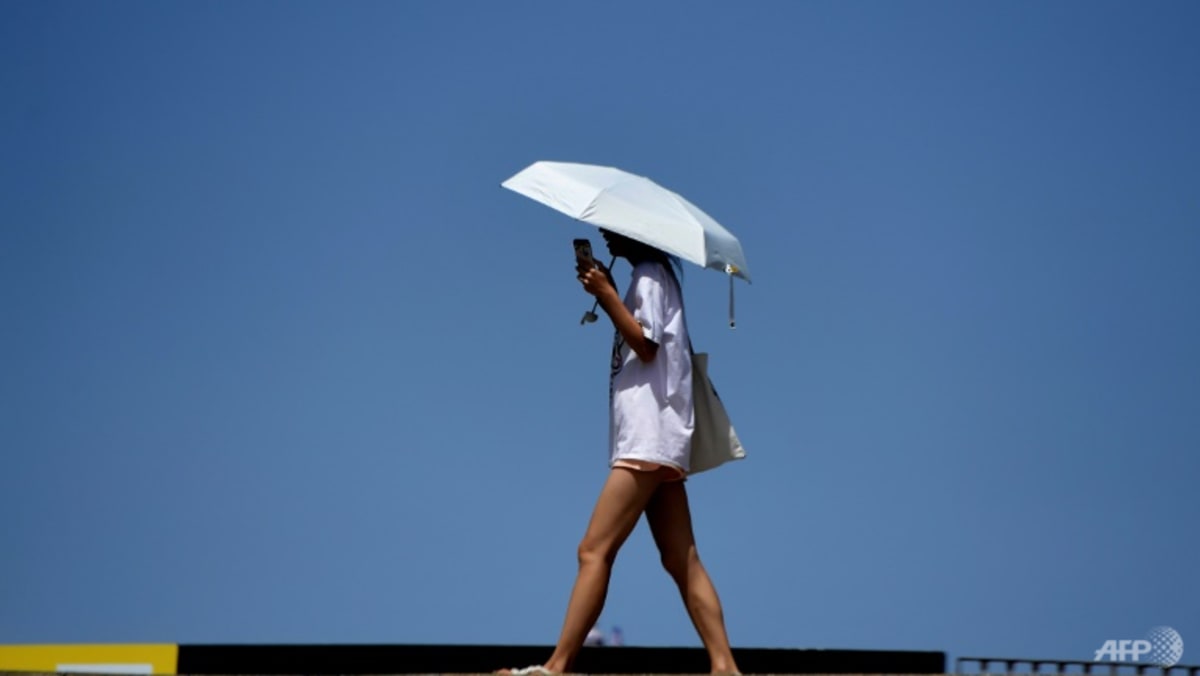 July hottest month on record: EU climate observatory July hottest month on record: EU climate observatory