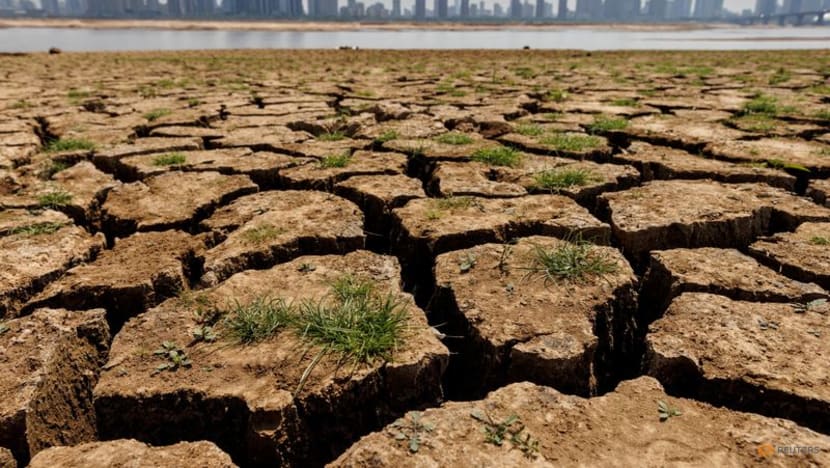 COP27 puts climate compensation on agenda for first time COP27 puts climate compensation on agenda for first time