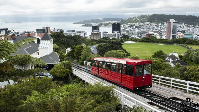 36 hours wellington 1 11