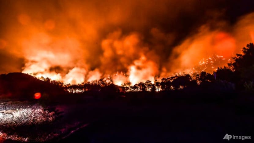 Turkish powerplant's main units not damaged by wildfires: Government Turkish powerplant's main units not damaged by wildfires: Government