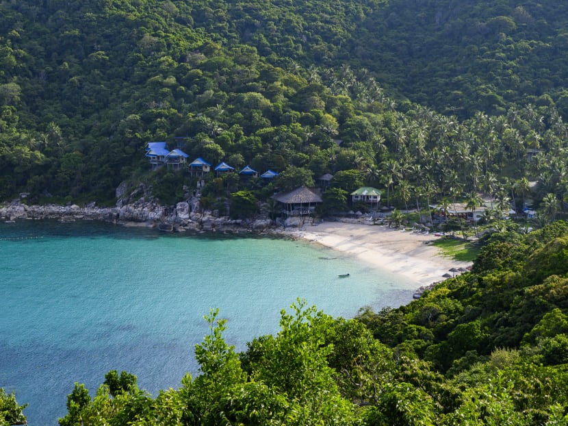 Nature has rapidly regeneration in just a few months during the lockdown in Thailand. Nature has rapidly regeneration in just a few months during the lockdown in Thailand.