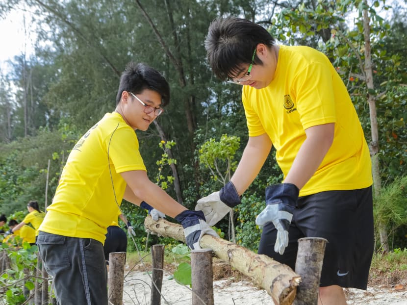 100m of floatsam fence was created on Coney Island as part of the environmental conservation initiatives organised by Outward Bound Singapore on March 5, 2016. Photo: OBS and National Youth Council