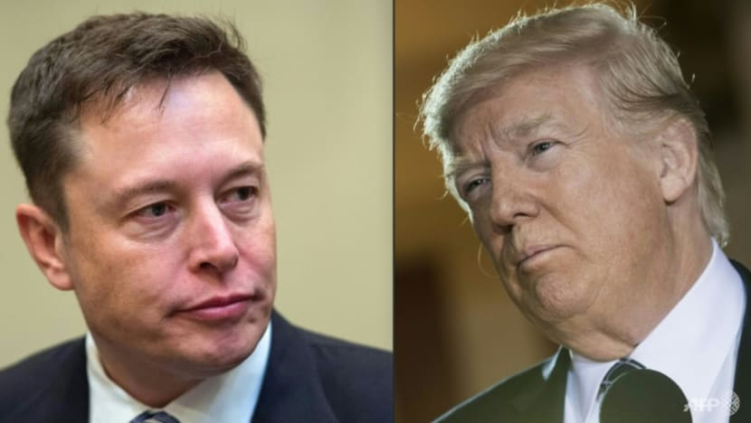 Commentary: Democrats hate him, but Elon Musk might be their saviour Commentary: Democrats hate him, but Elon Musk might be their saviour
