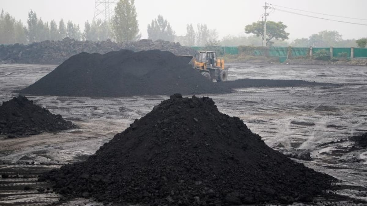 Produksi batubara Tiongkok pada bulan April menurun dari rekor tertinggi pada bulan Maret