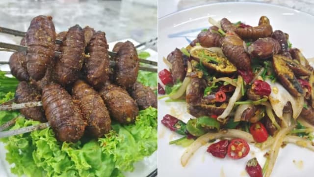 报道：政府尚未批准售卖食用昆虫 有餐馆已开始售卖蚕蛹菜肴