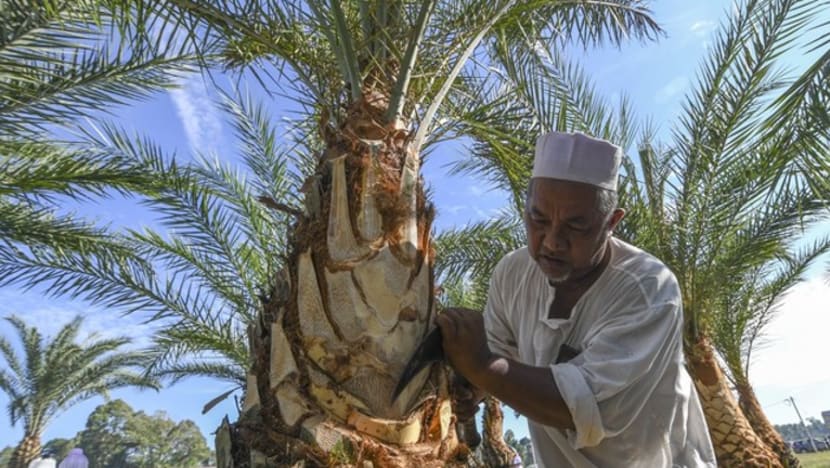 Nira kurma sajian terbaru penuhi citarasa sempena Ramadan