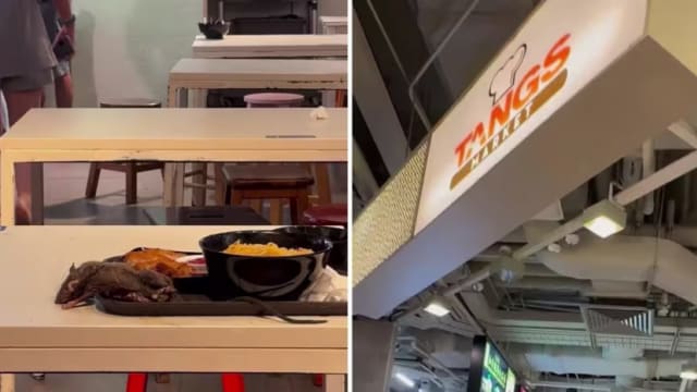 食阁闹鼠患事件 ?诗家董：连续三天彻底清洗消毒