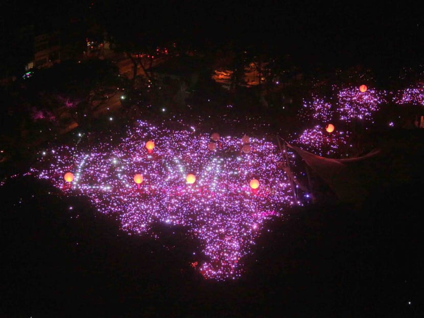 An aerial view of Speaker's Corner during Pink Dot 2015. Photo: Jason Quah