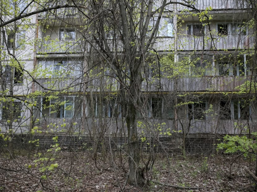 Gallery: Chernobyl zone turns into testbed for Nature’s rebound