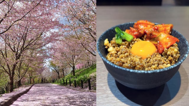 避开人潮到日本名古屋赏樱，也别错过邻近$20以下美食！