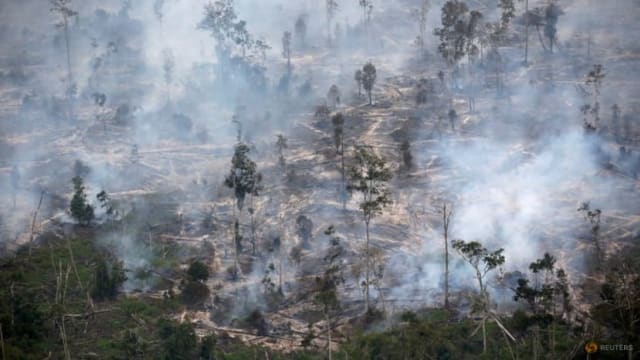 印尼终止和挪威的森林保护协议
