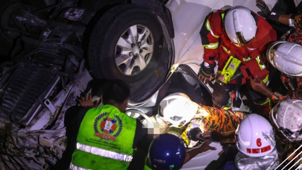 Singaporean who died in Penang ravine crash was 62-year-old woman: Malaysia police Singaporean who died in Penang ravine crash was 62-year-old woman: Malaysia police