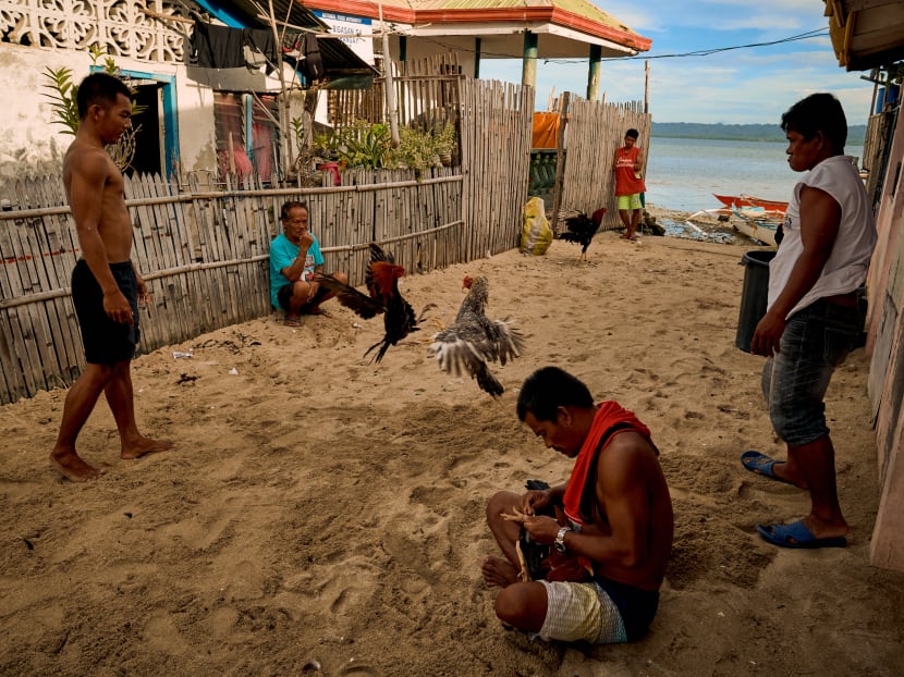 While cockfighting has been legalised in many areas of the Philippines and matches are sometimes sanctioned and televised, the government banned them and other such events in March to prevent the spread of Covid-19 among large crowds.
