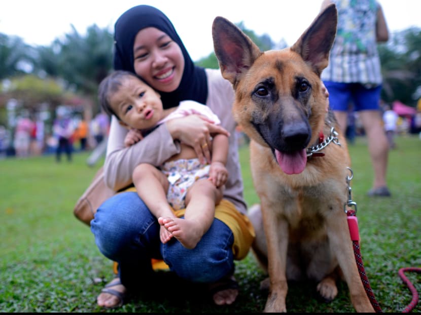‘I want to touch a dog’ event a big hit with Malaysian Muslims