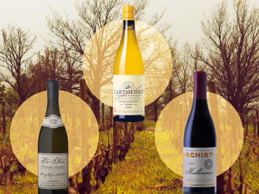 Why South African wines are a must-add to your wine collection: We pick 8 of the best
